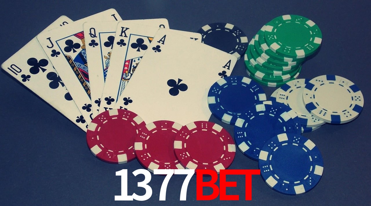 Experiência VIP 1377bet